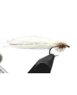 WHITE & BROWN 